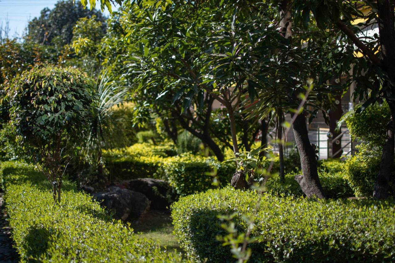 Mvt Guesthouse & Restaurant Rishikesh Exterior photo